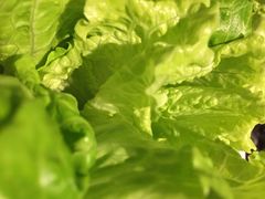 iphone_upload_pic-舒来喜鱼锅(伊河路店)