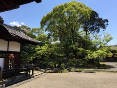 -醍醐寺