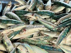 -尼甘布海鲜市场