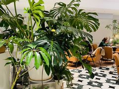 -一尺花园(安和花园店)