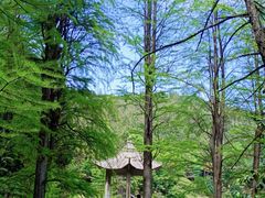 -四明山国家森林公园