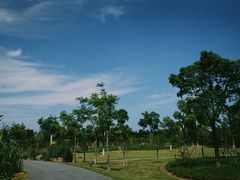 -上海长兴岛郊野公园