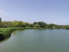 -大兴滨河森林公园