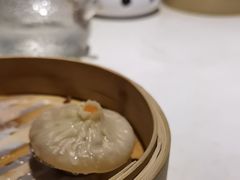 -点都德·毕德寮