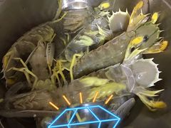 富贵皮皮虾-华威西营里农产品批发市场