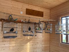 -黄海国家森林公园