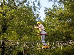 -梦幻奥陶纪景区