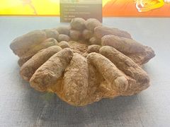 -西峡恐龙遗迹园