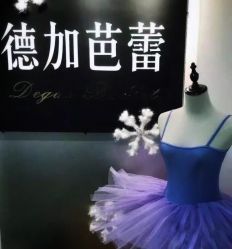 -德加芭蕾·舞蹈培训