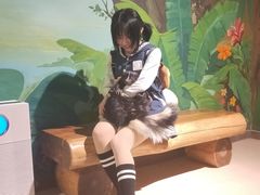 -萌宠奇缘