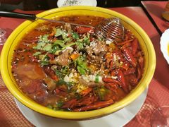 -熊猫川菜馆 panda chine