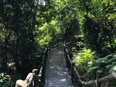 -清溪森林公园