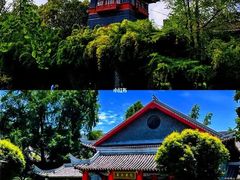 -四川大学(望江校区)