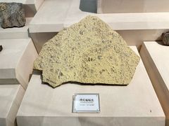 -辽宁古生物博物馆