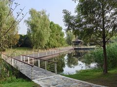 -同里国家湿地公园