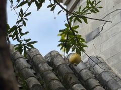 -京兆尹(雍和宫店)