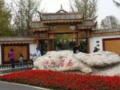 -武清南湖绿博园