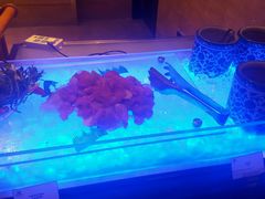 -大华锦绣假日酒店·锦味餐厅