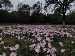 -汉长安城未央宫国家考古遗址公园