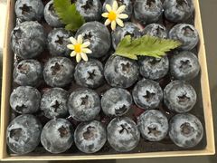 -皇后西斯汀(千姿汇店)