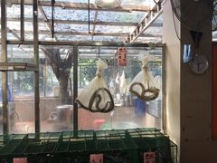 -荔城生鲜盛宴(番禺旗舰店)