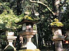 -奈良公园