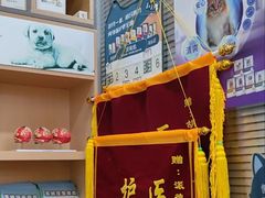 -pd派德宠物中心医院24H急重症·眼科中心·血液透析中心(嵩山北路店)