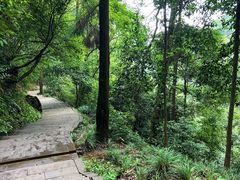 -青城山