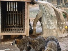 -灵玲国际马戏城