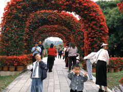 -东莞植物园