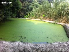 -成都市活水公园