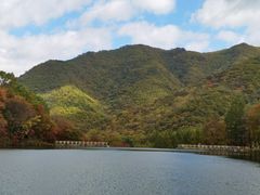 -龙道沟景区