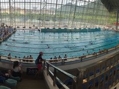 深圳大学城游泳馆-深圳大学城（南区）体育中心-游泳馆