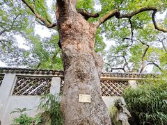 -惠山古镇·寄畅园