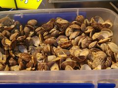 -降龙爪爪(建设路1店)