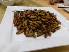 -九大簋家宴(北京路店)