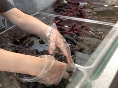 -都士牧人现烤牛肉干