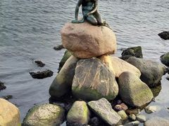 -美人鱼