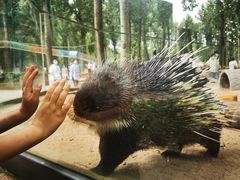 -北京野生动物园