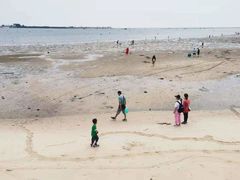 -北海金海湾红树林生态旅游区