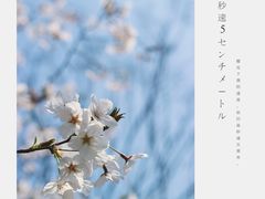 -顾村公园