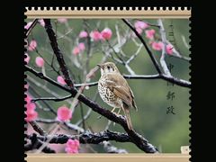 -金陵之星大酒店·中餐厅