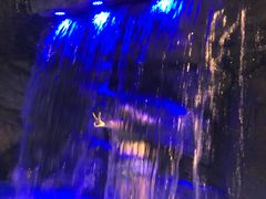 -热带风暴水上乐园(新镇路)