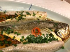 葱花鲈鱼-梦都海鲜酒家(万达广场江桥店)