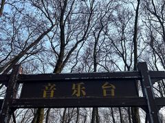 -音乐台