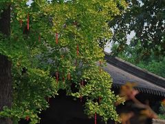-钱王祠