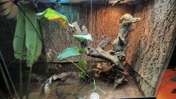 -酷嗒动物文化乐园(cutezoo西溪乐天城店)