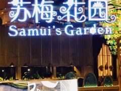 -苏梅花园(群星城店)
