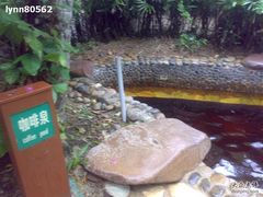 -三亚珠江南田温泉度假区