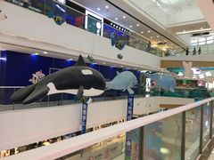 -上海颛桥万达广场